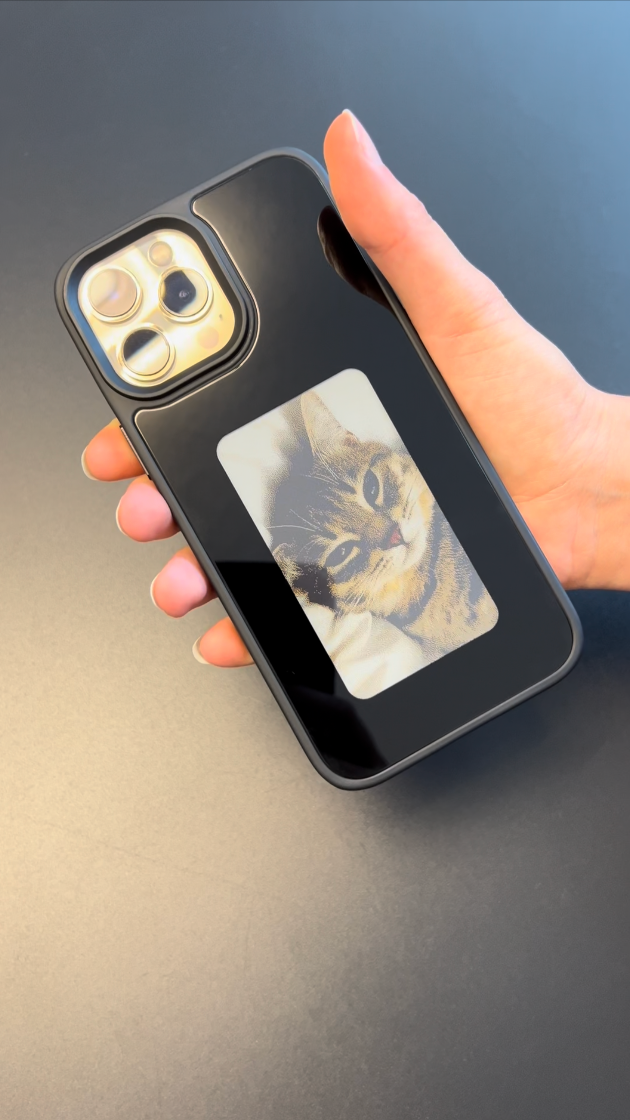 E-ink Handyhülle